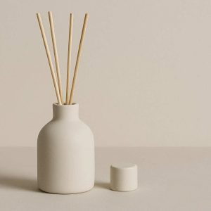 Minimalist Ceramic Reed Diffuser Matte Finish Porcelain Bottle Aromatherapy Essential Oil Set Elegant Home Decor Ornament